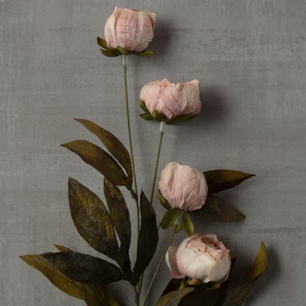 New Set of 8 Ashland by Michael’s 11.5” Tan Peony Stems - Picture 2 of 4